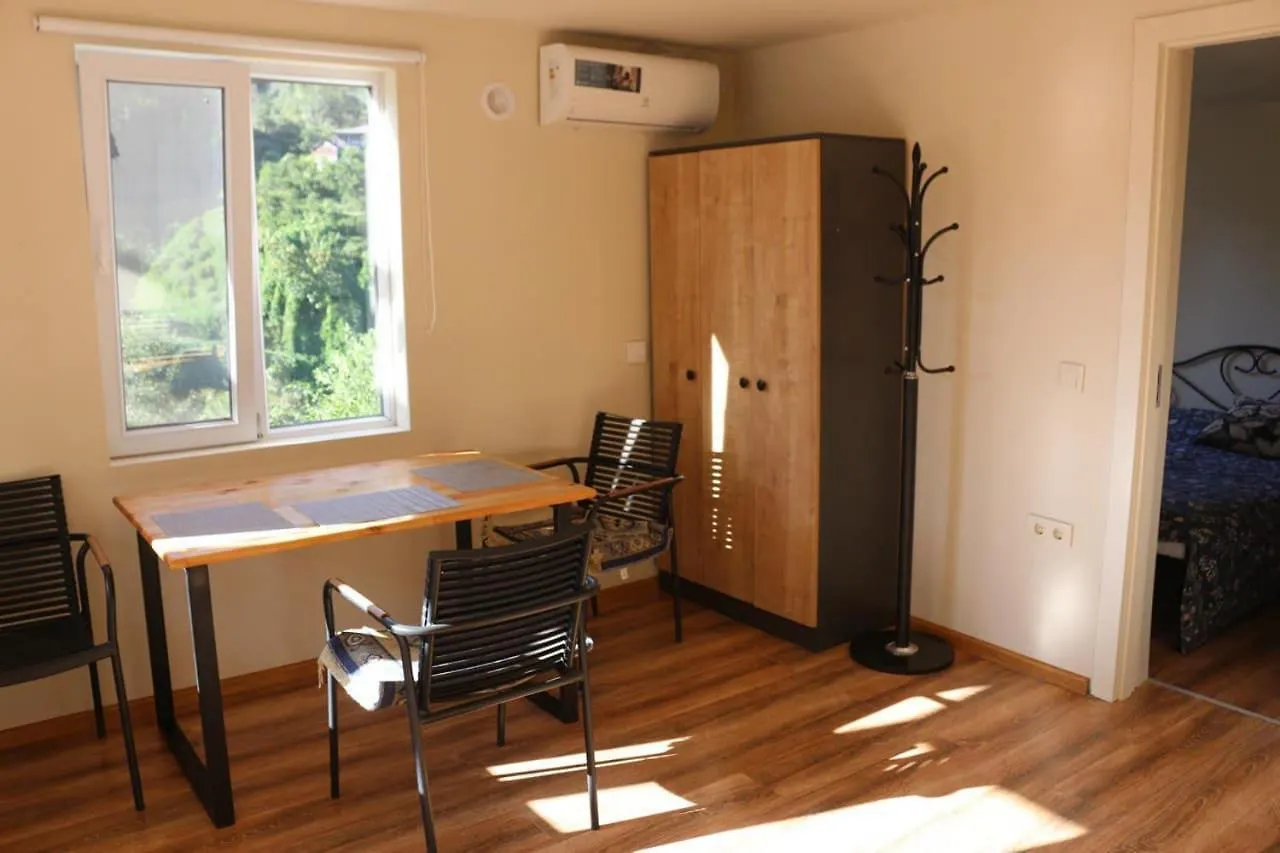 Green Zyland Apartment باتومي جورجيا