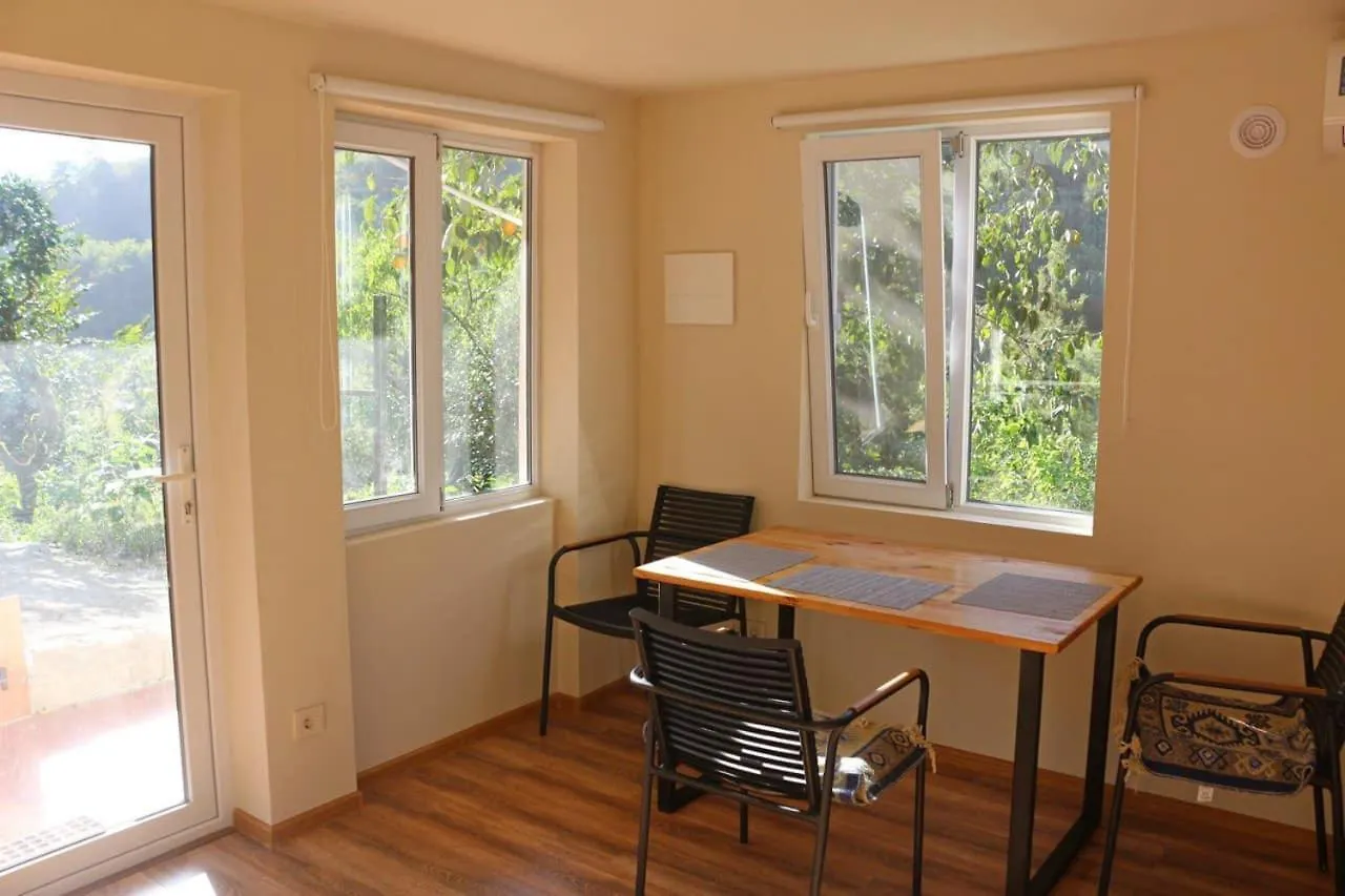 Green Zyland Apartment باتومي