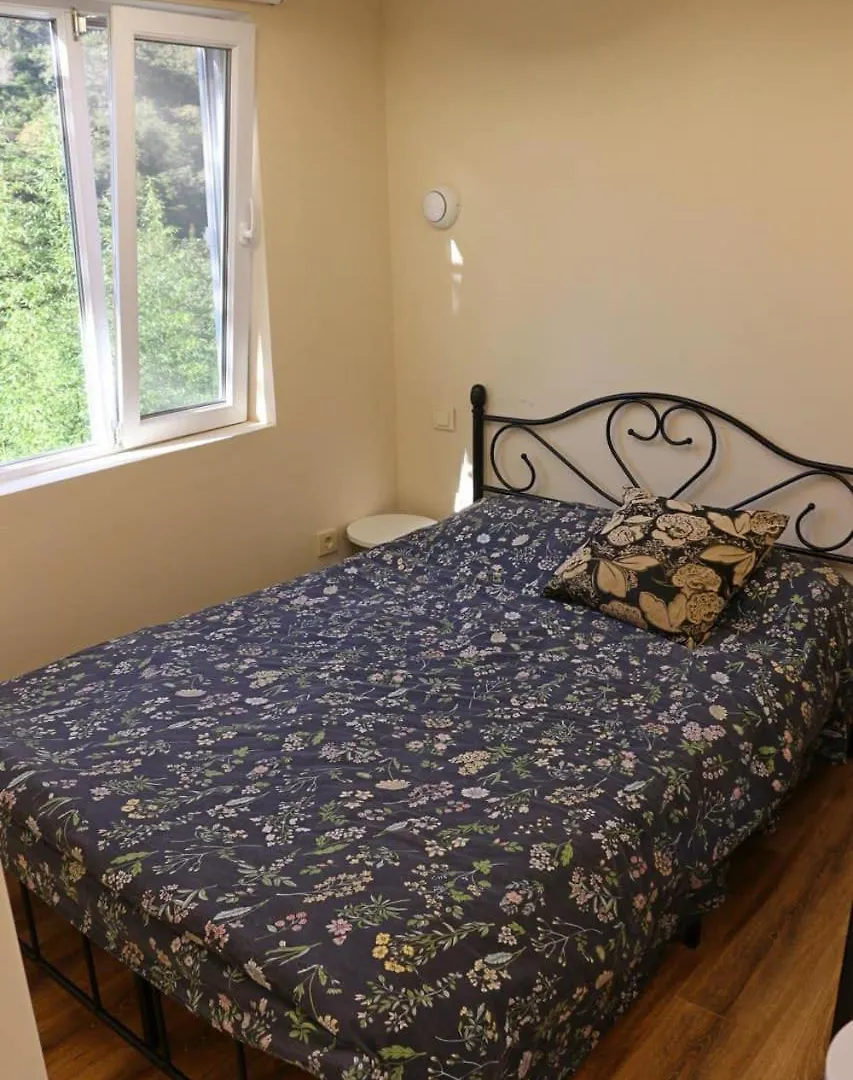 Green Zyland Apartment باتومي